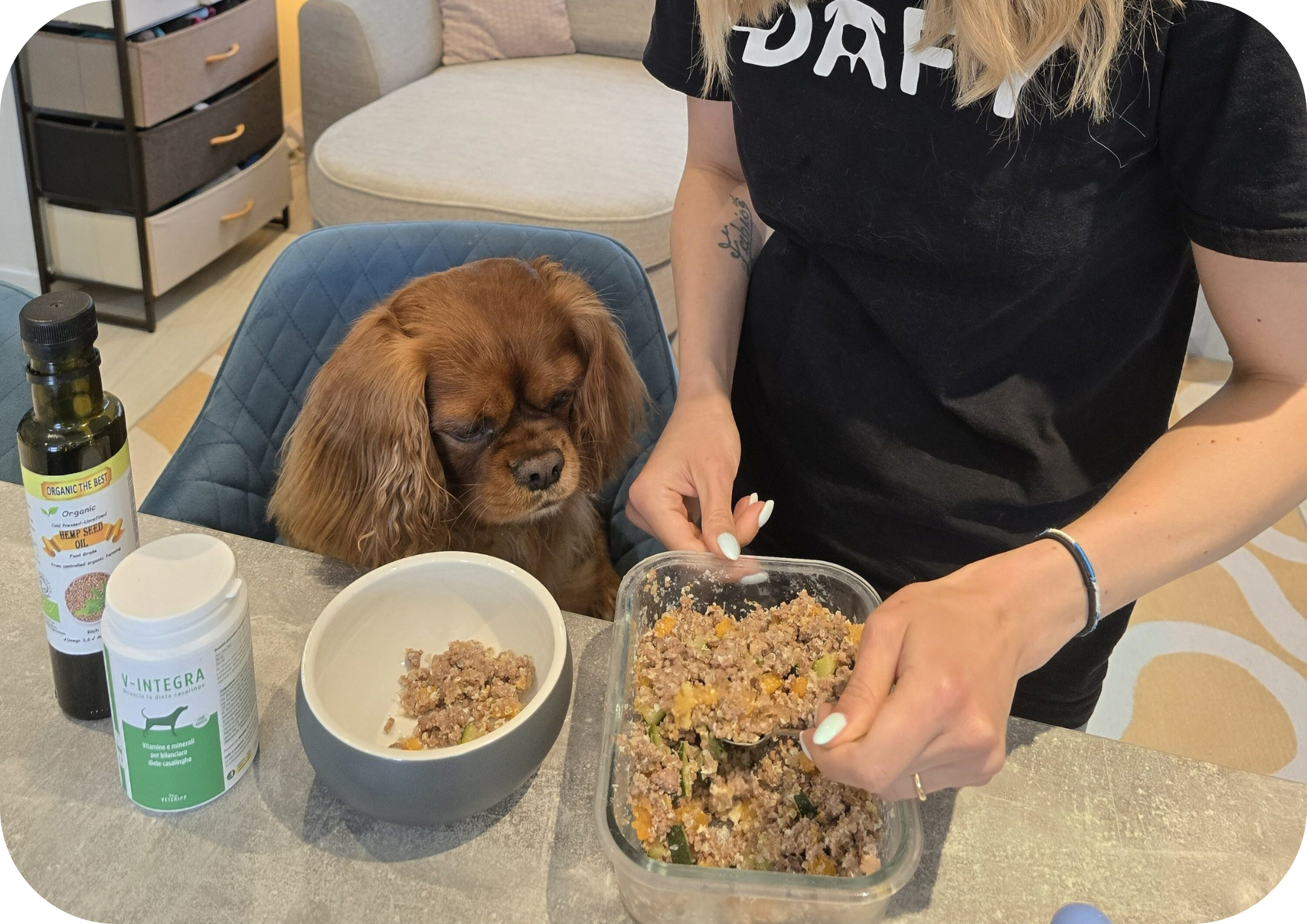 Homemade Dog Food: Why Fresh Ingredients Alone Are Not Enough